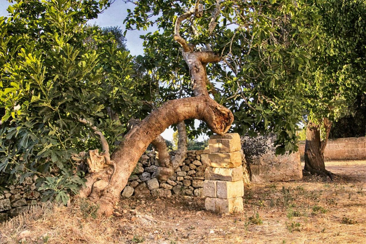 Masseria Costa Corigliano dʼOtranto Buitenkant foto